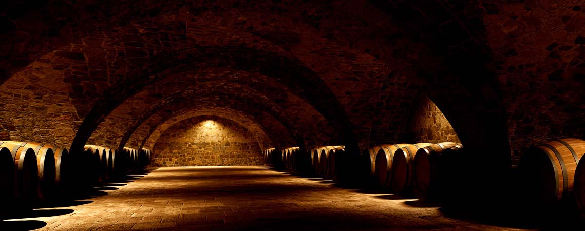 The historic vaulted cellars of the Eguren family