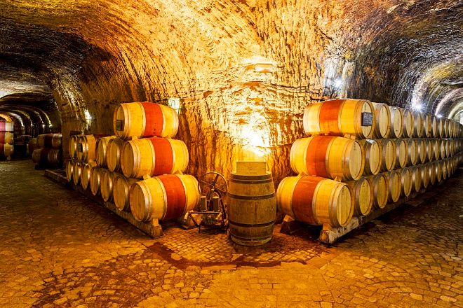 Barrels resting in the cellar