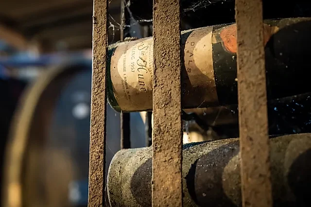 Old bottles resting behind the wooden racks of the Trimbach cellar