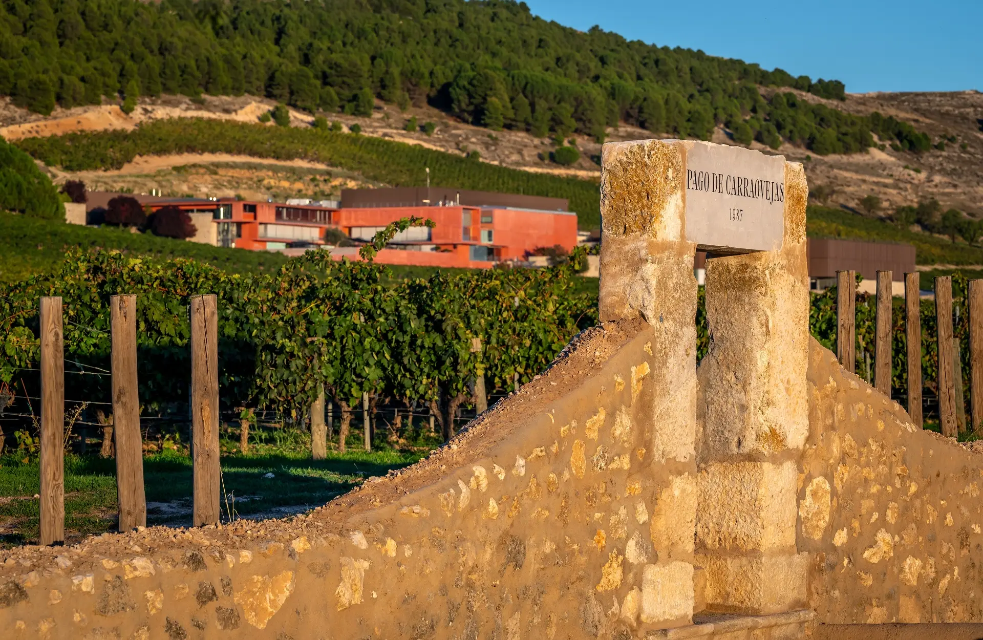 A stone gateway marked Pago de Carraovejas 1987 among the vines