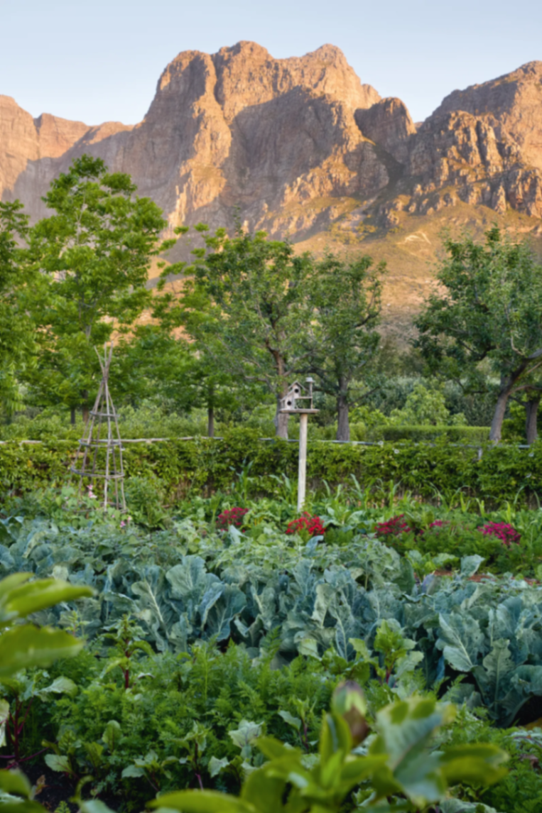 A lush garden with dramatic mountain peaks behind