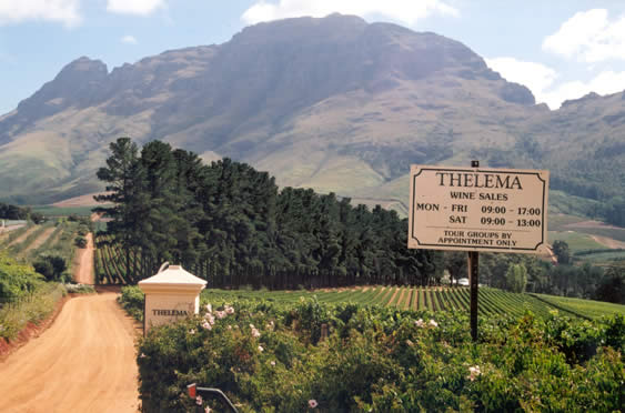 The road into Thelema, with the mountain rising above the vines