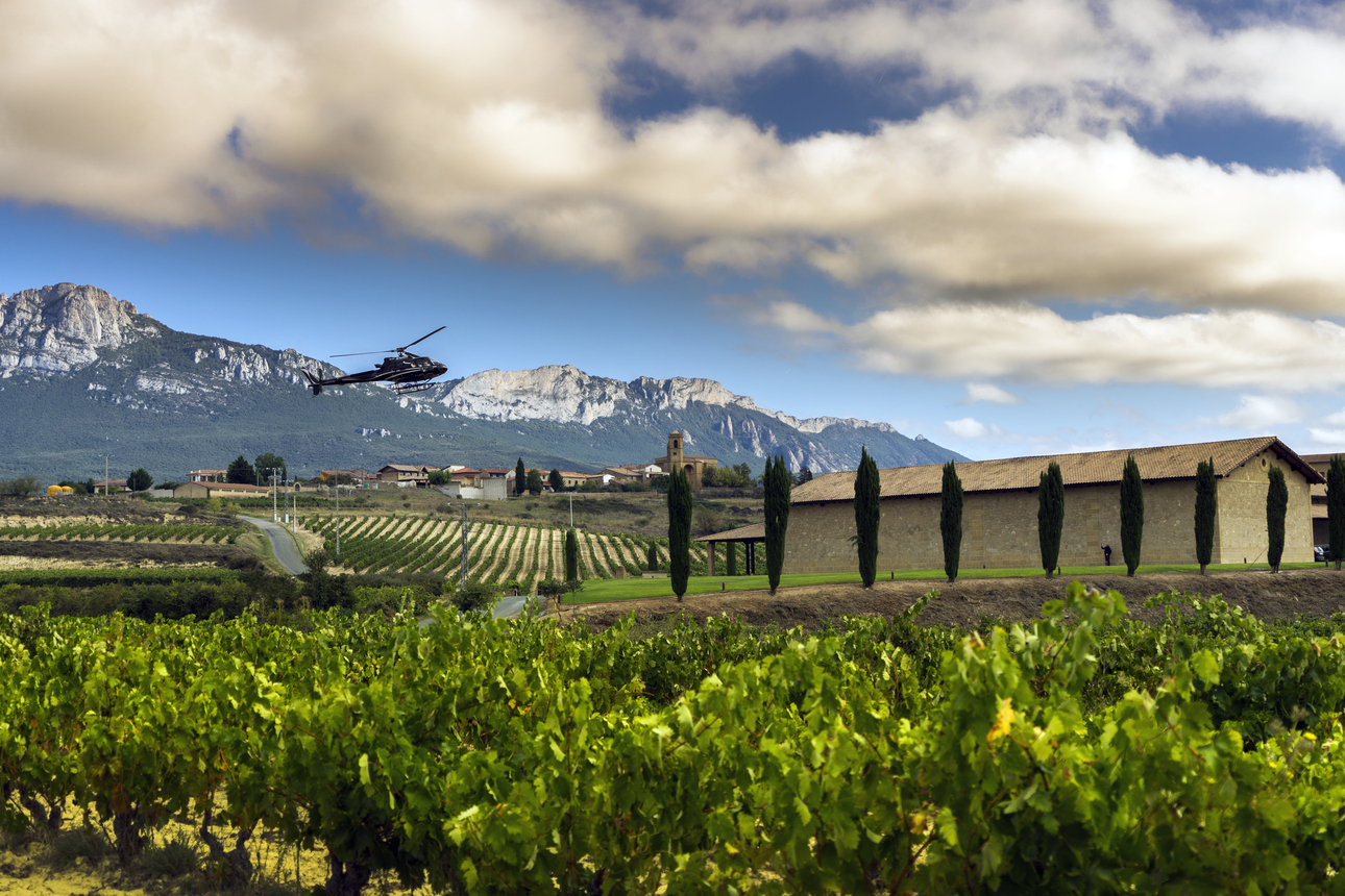 Vineyards in Rioja, framed by the Sierra de Cantabria mountains