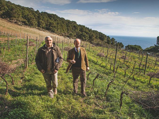 Two men walking down through the island vineyard towards the sea