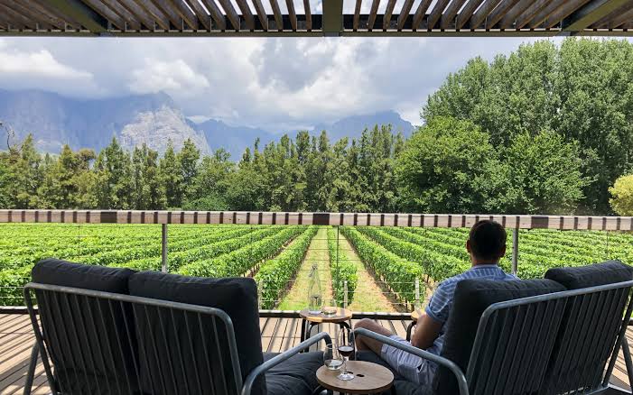 Guests on the shaded terrace looking out over the Thelema vineyard
