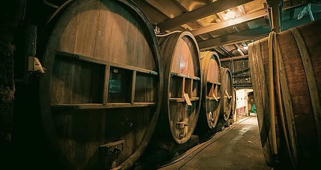A passage lined with traditional wooden foudres in the Trimbach cellar