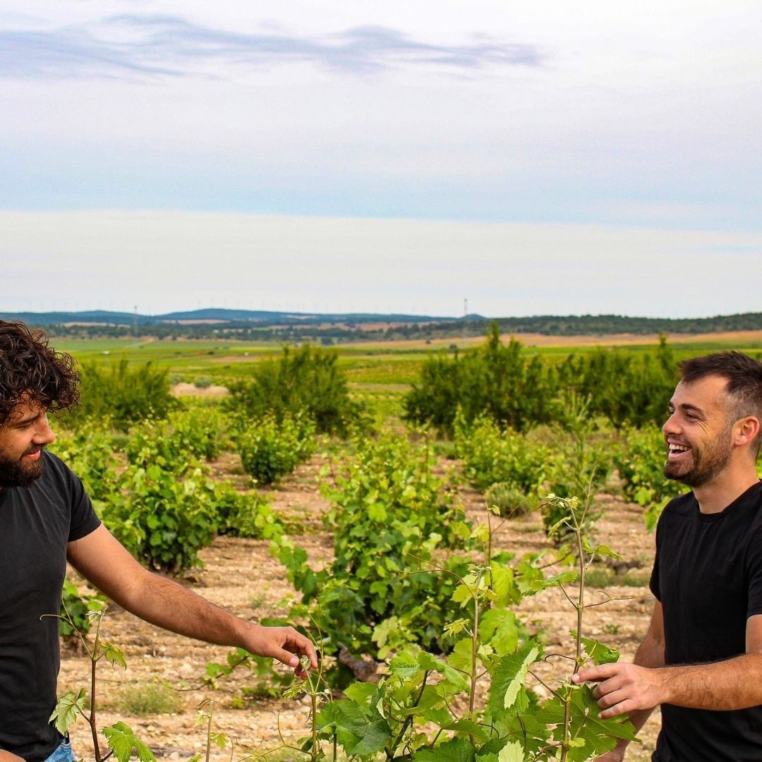 Juanjo and Carlos talking among the green vines