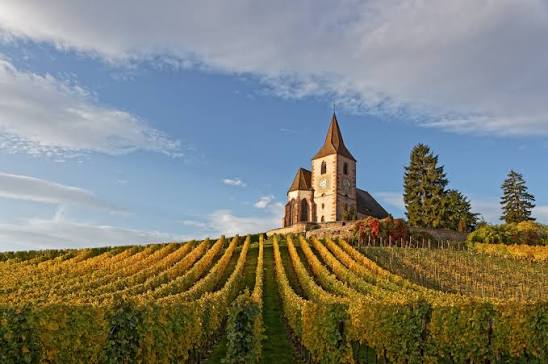 The church at Hunawihr surrounded by the Clos Sainte Hune vineyard