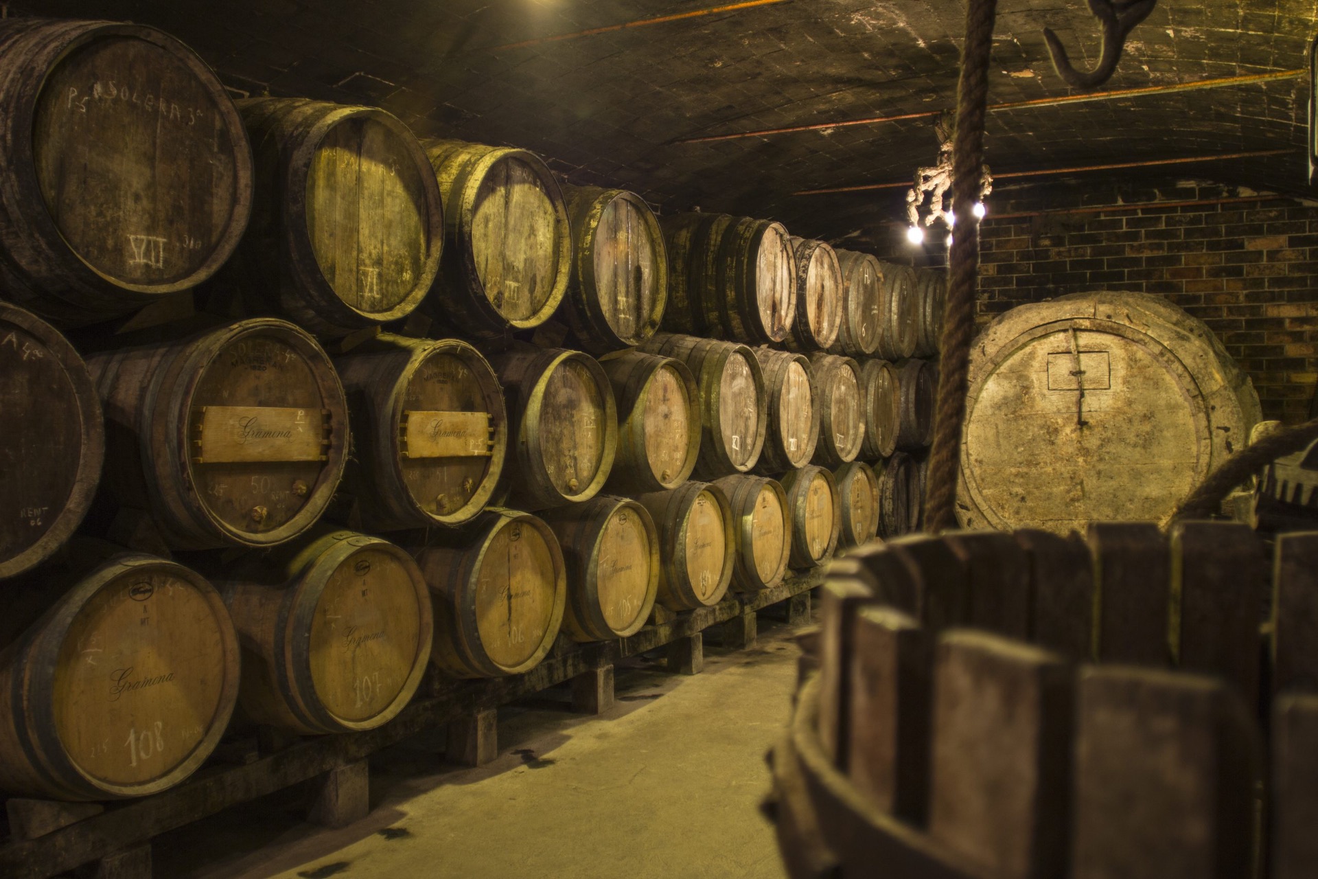Old wooden barrels resting in the historic Gramona cellar