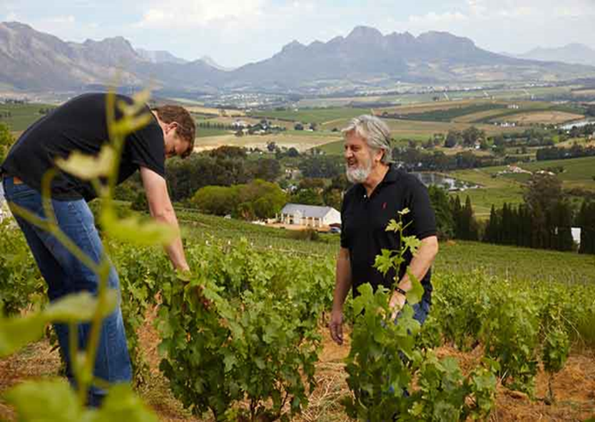 Two men inspecting vines with the valley and mountains beyond