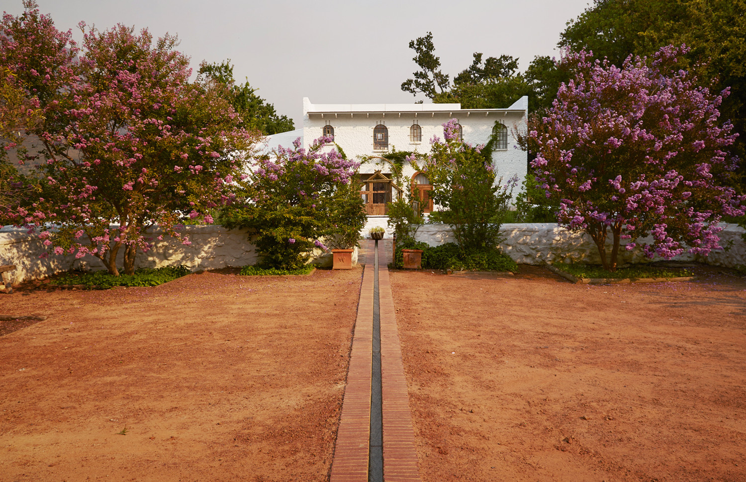 A white farm building framed by flowering trees at Kleinood