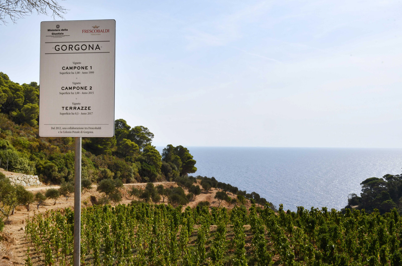 A sign marking the collaboration between Frescobaldi and the island's penal colony, with the vineyard and sea behind