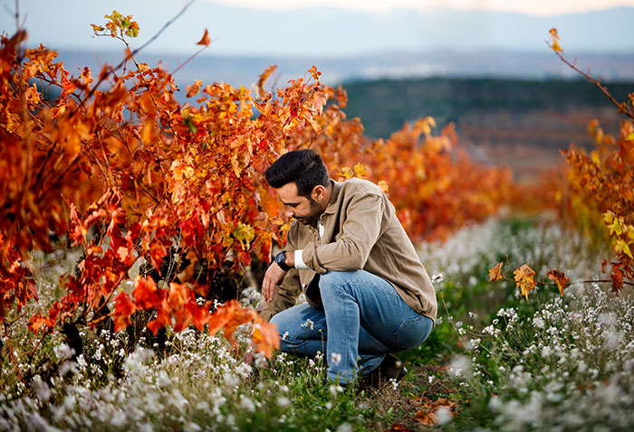 Eduardo Eguren examining vines in Rioja during autumn
